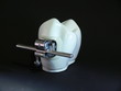 Zahnmodell mit Bracket