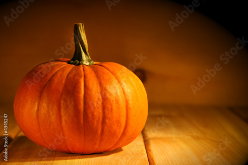 Foto: One pumpkin One pumpkin