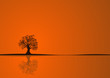 beautiful abstract vector autumn tree design