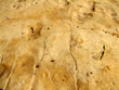 Erosion