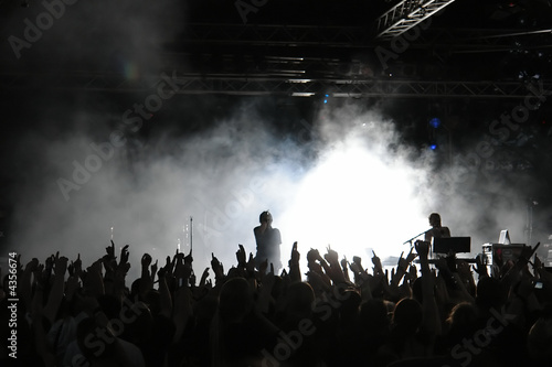 Cheering crowd at concert, musicians on the stage