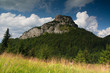 Beauty landscape Beauty landscape
