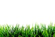 wiese pur