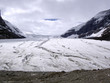 Glacir de Colombia, rocheuses, Canada