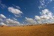 Dune