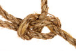 bowline knot on palm cord