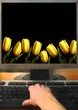 computer work