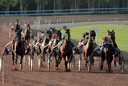 Photo: arrivée d'une course hippique de trot arrivée d'une course hippique de trot