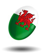 rugby, pays de galles