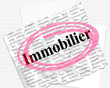 immobilier