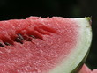 Melon