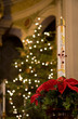 Paschal Candle at Christmas Paschal Candle at Christmas