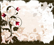 Floral background. Floral background.