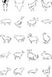 Domestic Animals