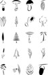 Plants Clipart