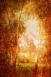 grunge floral background