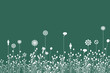 Strange grass