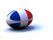 Photo : Ballon Rugby France