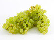 Grappe de raisins chasselat