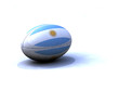 Ballon Rugby Argentine