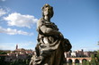 Albi vu du palais de la Berbi