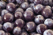 Huckleberry