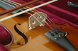 Violin in Case