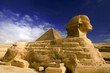 sphinx