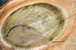 Rings on sawed tree