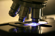 Wissenschaft