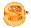 Kürbis
