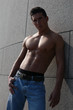 Muscular Male Model