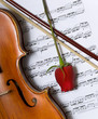 Violin, rose and music