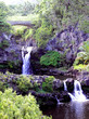 bridge about lower pools - seven sacred pools np, maui