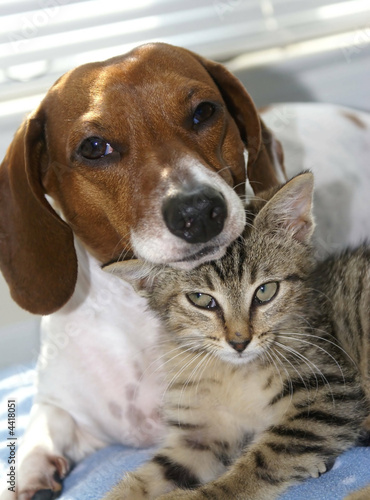 best buds-rb