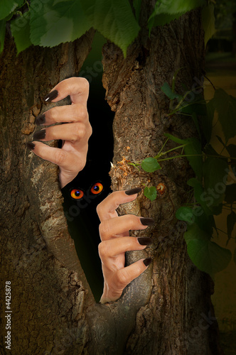 Foto: Creepy trunk Creepy trunk