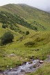 Ruisseau de montagne