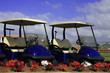 golf car