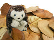 peluche hérisson parmi des feuilles