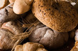 baked bread