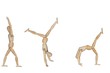 flexibility