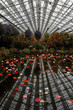 Botanical Garden