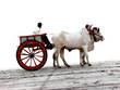 Photo: Beach Cart Beach Cart