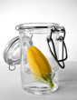 Tulpe im Glas