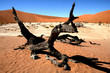  Africa Namibia 