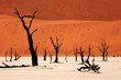 Africa Namibia