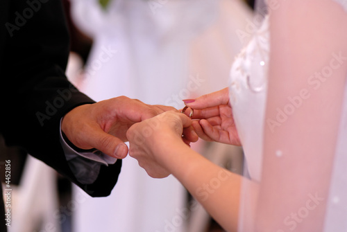 Photo: Wedding Ring Exchange Wedding Ring Exchange
