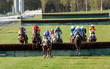 saut d'une haie durant une course