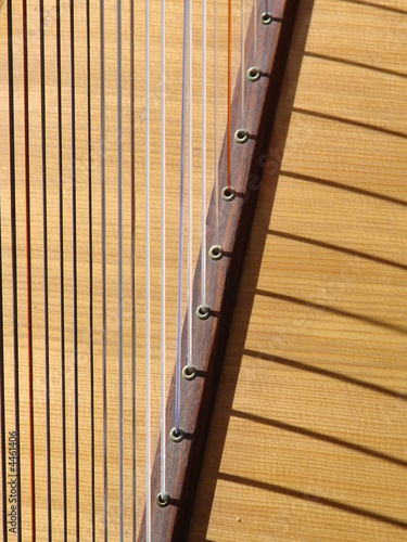 Photo: Harp Strings Harp Strings
