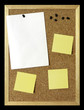 Paper Sheet on Corkboard
